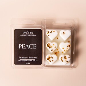 Stark schmilzt | Ungiftige Duftöle | Raumduft | Schmelzt und Törtchen