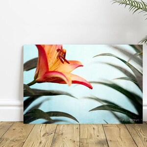 Orange Red Lily Petal Flower Garden - Botanical Art, Wall Art, Home Decor Photography - Jennifer Camp Photography