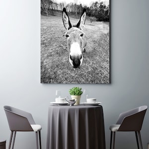 Donkey Portrait Fine Art, Print, Home Decor, Wall Art Photography, Variety of Sizes -   Jennifer Camp Photography