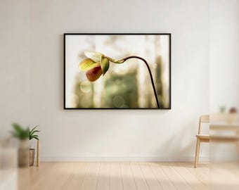 Lámina artística de orquídea floreciente – Decoración botánica para el hogar