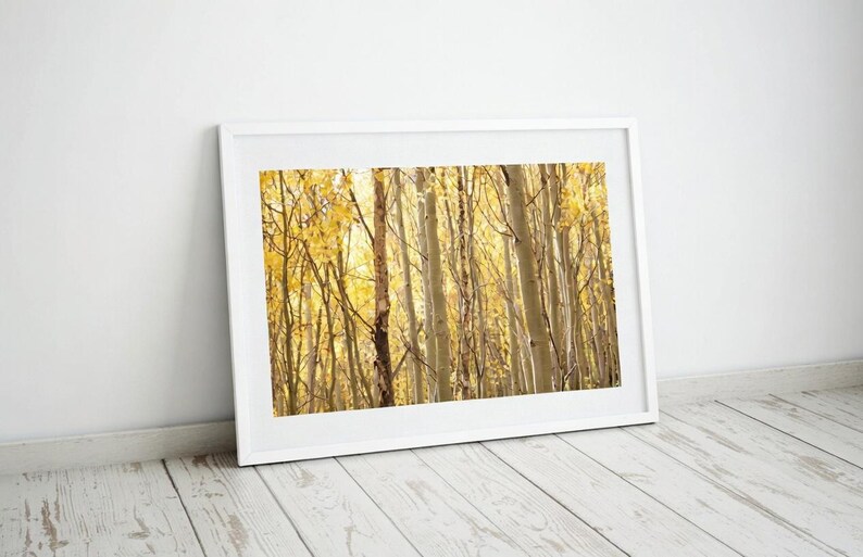 Gold Aspen Trees Autumn Landscape - Colorado Fine Art Photography - Etsy