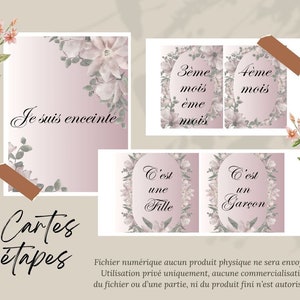 Cartes étapes grossesse