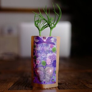 Carte de vœux florale pour la fête des Mères, cadeau d’arbre pour maman, nous plantons 10 arbres supplémentaires