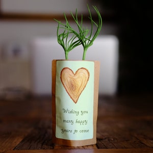 Wedding Congratulations Card, Engagement Gift, Tree Kit, We Plant 10 More Trees