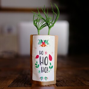 Ho Ho Ho, Merry Christmas, We Plant 10 More Trees