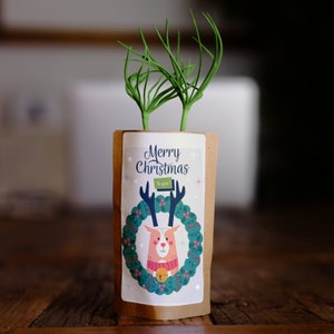 Christmas Reindeer, Merry Christmas, We Plant 10 More Trees, Unique Eco-friendly Gift, Inexpensive christmas gifts