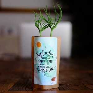 Cadeau d'anniversaire de septembre pour elle, fille de septembre soleil et arbre ouragan, carte de voeux d'anniversaire, nous plantons 10 arbres de plus
