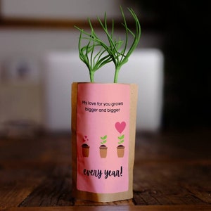 Pochette Mon amour pour votre arbre, faites pousser un arbre et nous en planterons 10 de plus