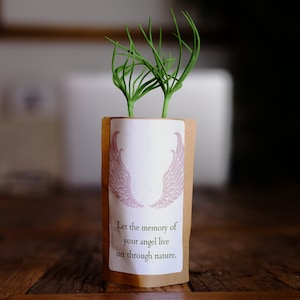Arbre d’ange de sympathie, cadeau commémoratif, nous plantons 10 arbres supplémentaires