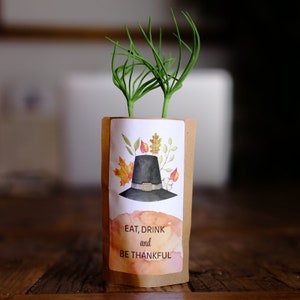 Be Thankful, Thanksgiving Card, We Plant 10 More Trees