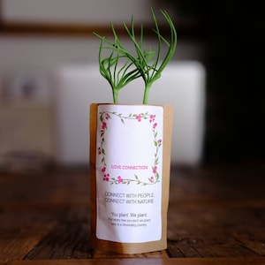 Love Connection Faveur de mariage personnalisée, cadeau d’arbre, nous plantons 10 arbres supplémentaires