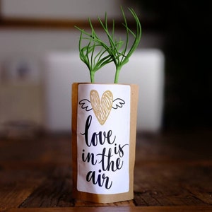 Love is in the Air. You Plant, We Plant 10 Extra Trees. Unique Eco-friendly Gift. Perfect Couple Gift.