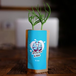 Be Mine Valentines Tree Gift, You Plant, We Plant 10 Extra Trees, Valentines Gift, Love Card
