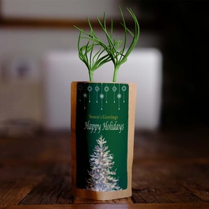 Répandez les joyeuses fêtes de fin d'année avec des cadeaux respectueux de l'environnement ! Plantez 10 arbres à chaque achat !
