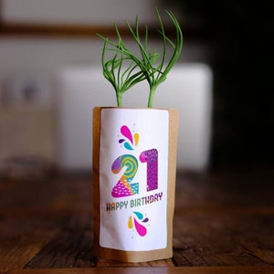 Cadeau de 21e anniversaire pour elle, arbre de joyeux anniversaire, nous plantons 10 arbres supplémentaires