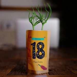 Cadeau du 18e anniversaire pour elle, arbre de joyeux anniversaire, nous plantons 10 arbres de plus