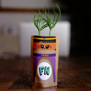 May include: A brown paper bag with a purple, orange, and yellow design. The bag has a cartoon face with big eyes and a smile. The text "esuiva" is printed upside down on the bag. The text "FN" is printed in green on a white circle.