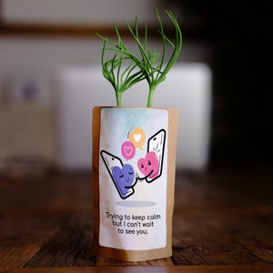 Miss You Valentines Tree Greeting Card, We Plant 10 More Trees, Long Distance Gift, Couples Gift