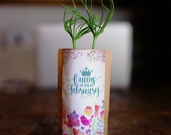 February Birthday Gift for Her, Birthday Greeting Card, We Plant 10 More Trees