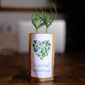 Je ne peux pas feuiller sans votre cadeau d’arbre pour votre amour, vous plantez, nous plantons 10 arbres supplémentaires, carte d’amour
