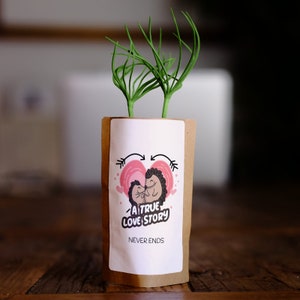 True Love Valentines Tree Greeting Gift, We Plant 10 More Trees