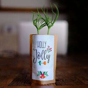 Holly Jolly! Spread Holiday Cheer: Eco-Friendly Christmas Gifts, Planting 10 Trees with Each Purchase!