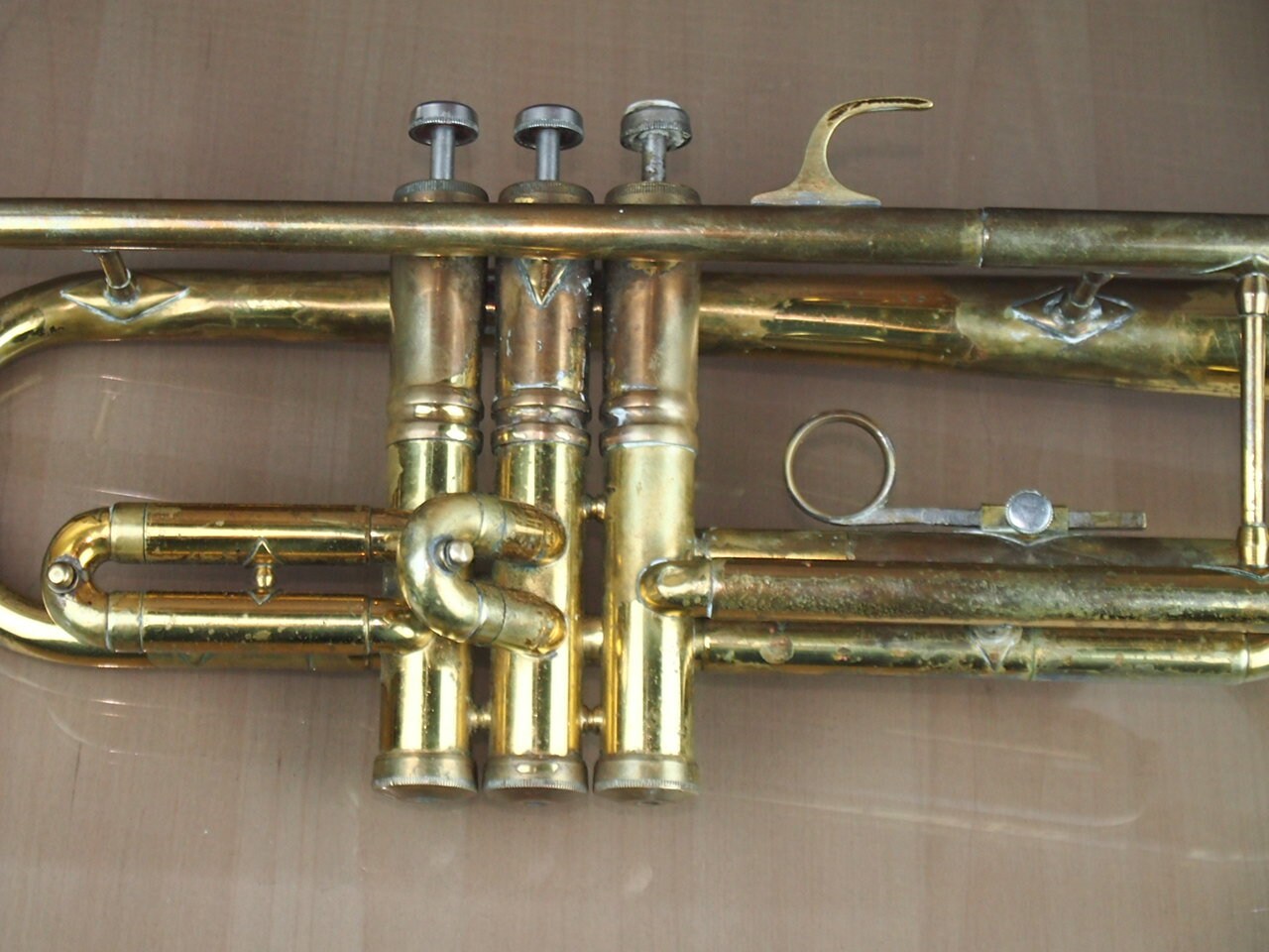 Parrot trumpet on sale