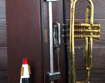 Parrot trumpet 2024