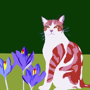 Original painting of White and ginger cat
