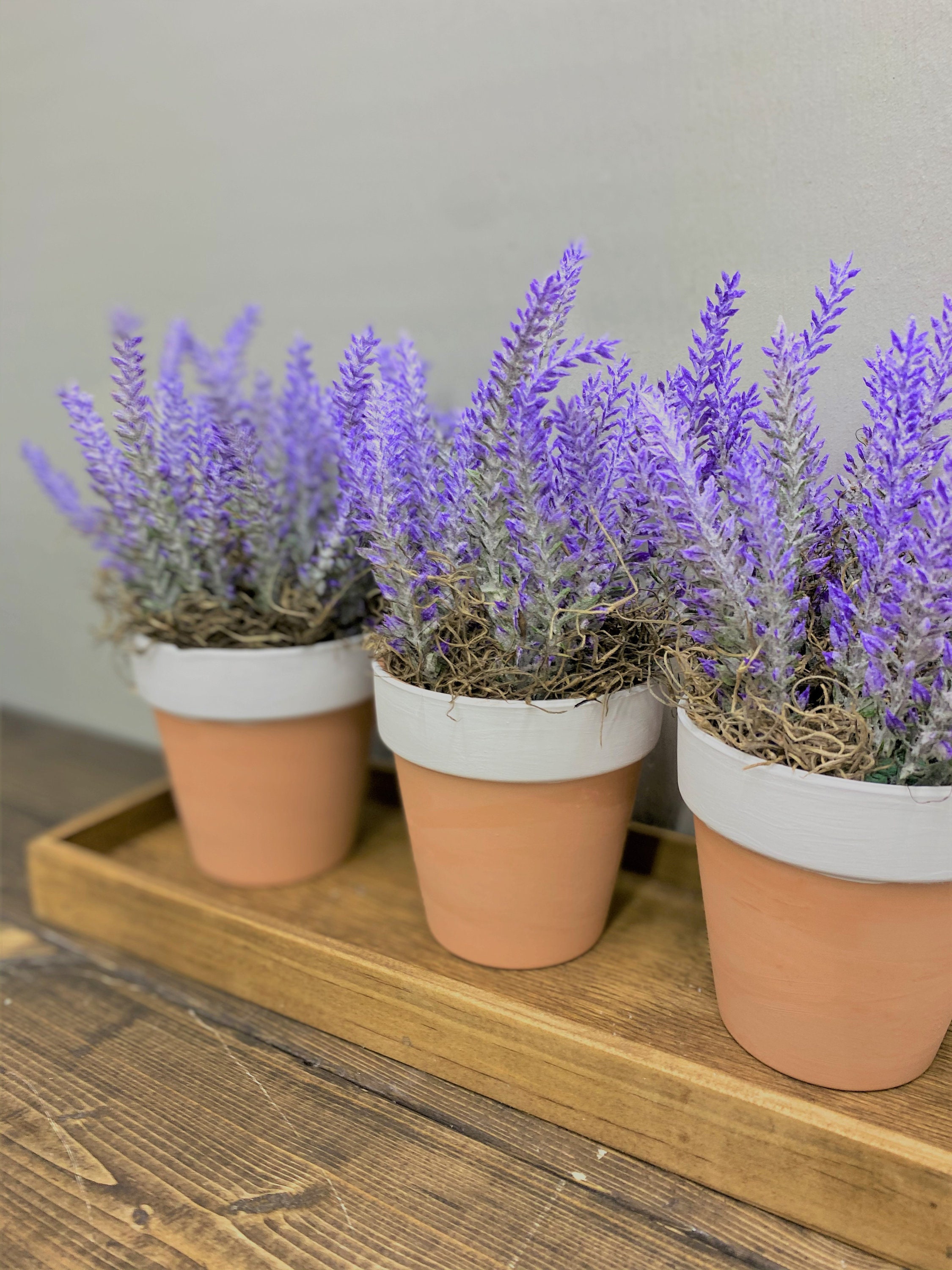 Decoración de la granja/decoración del hogar/centro de | Etsy