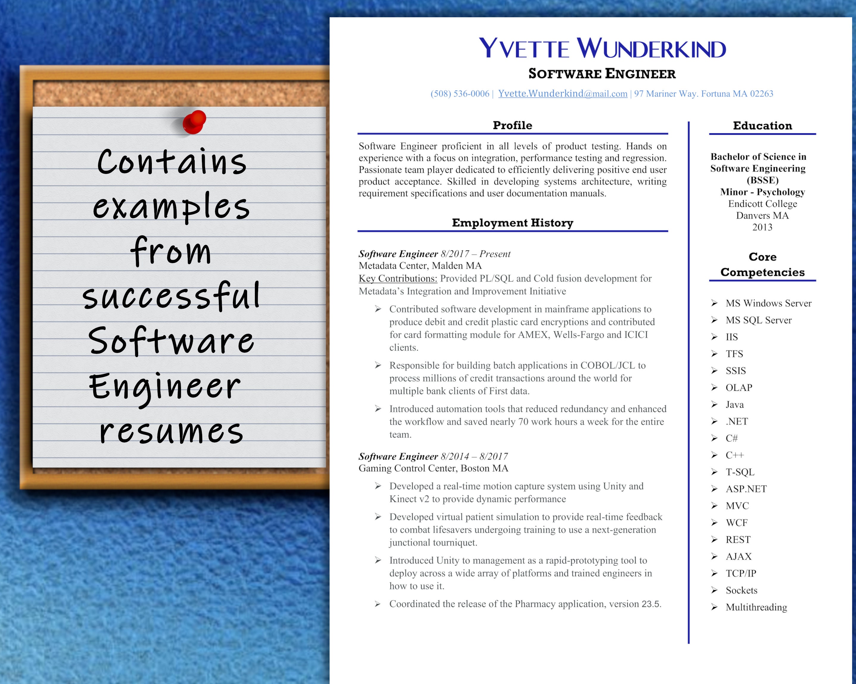 Software Engineer / Computer Programmer / Template W Successful Real ...