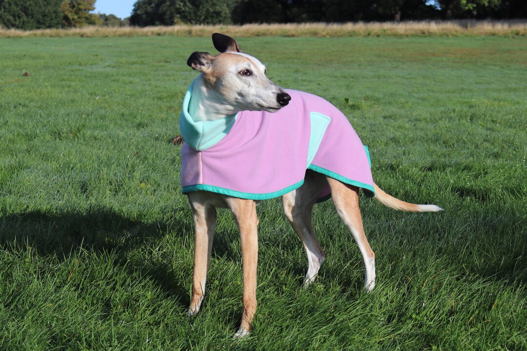 27 Half & Half Splitcolour Two Tone Lilac/pink With Etsy