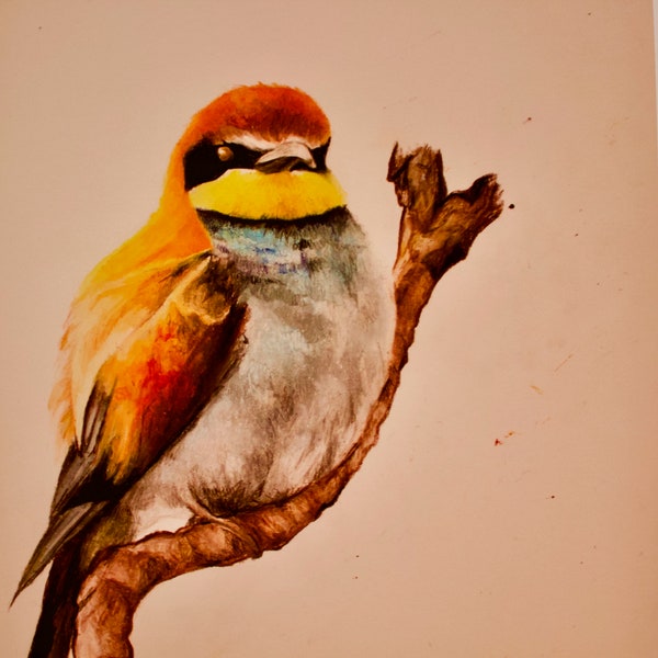 European bee eater bird print oil pastels