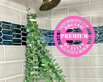Planta de eucalipto para banho fresco, ramo de plantas suspensas, caules de eucalipto pendurados no chuveiro, plantas de eucalipto orgânicas, plantas para decoração de banheiro