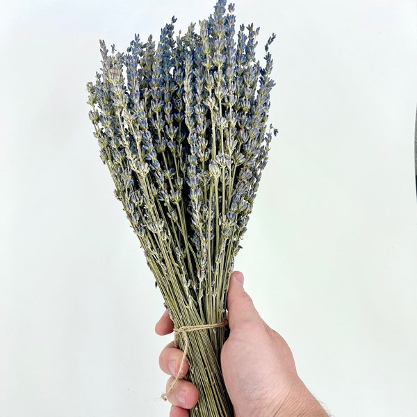 Dried Lavender Bundle, Lavender Plant Bunch, Dried Lavender Bundle, Lavender Bunch, Farmhouse Country Bohemian Decor, Lavender Centerpiece