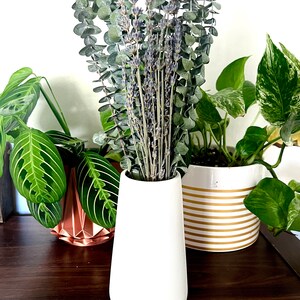 Fresh Eucalyptus in a vase. Dried lavender stems are added to it. The vase is sitting on a console table and has plants surrounding it.