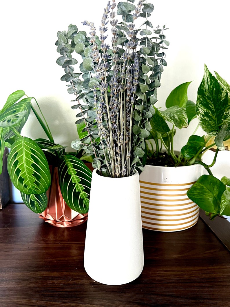 Fresh Eucalyptus in a vase. Dried lavender stems are added to it. The vase is sitting on a console table and has plants surrounding it.