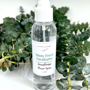 Fresh Eucalyptus Shower Bundle Spray, Eucalyptus Shower Bundle Spray, Aromatherapy Eucalyptus Spray for Shower, Mint Eucalyptus Smell Bath