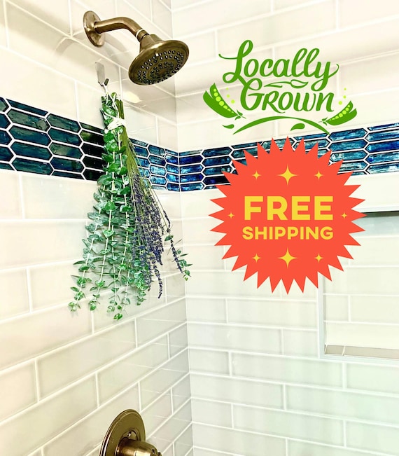 Fresh Shower Eucalyptus Bundle With Lavender, Hanging Shower Eucalyptus  Plant, Live Indoor Eucalyptus, Hanging House Plants, Shower Plants - Etsy  Israel