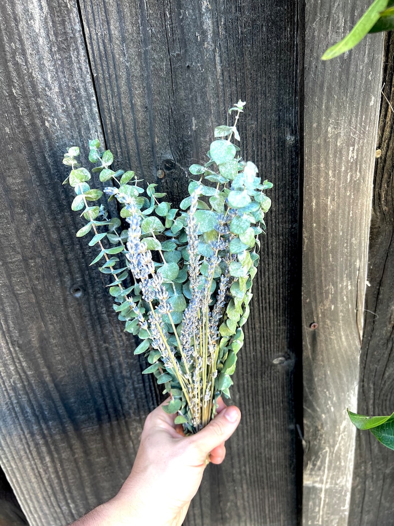 Lavender and eucalyptus bundle being held in a hand by the base of the bundle. The photo uses a wood fence background for contrast.