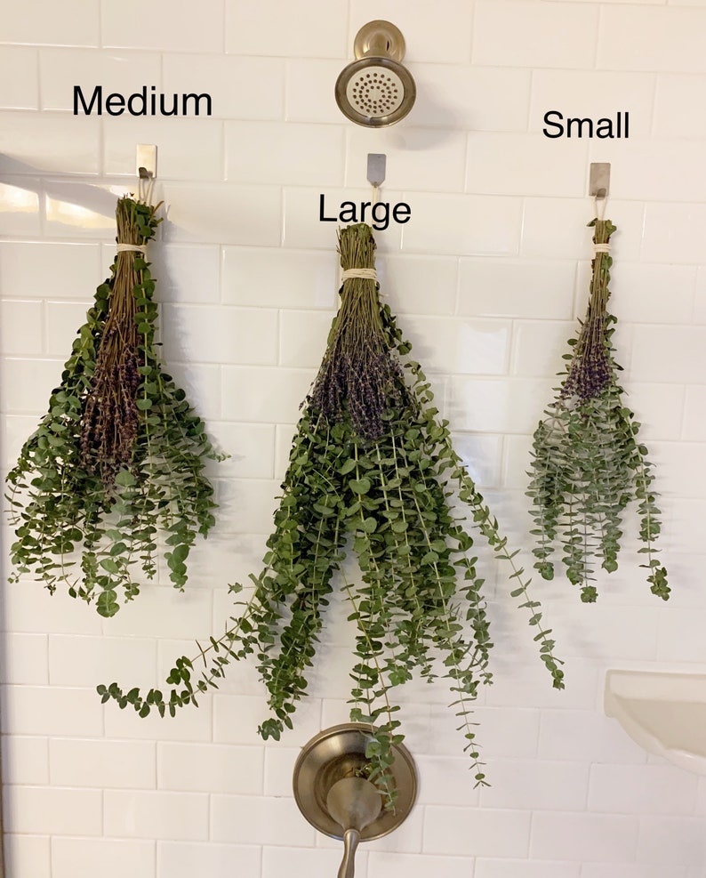 Shower Eucalyptus Lavender Bundle Plants Indoor Plants Etsy