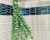 Eucalyptus Shower Bundle | Bathroom Plants | Relax & Unwind | Home Spa Vibes | Shower Plant | Fresh Cut Eucalyptus | Locally Grown