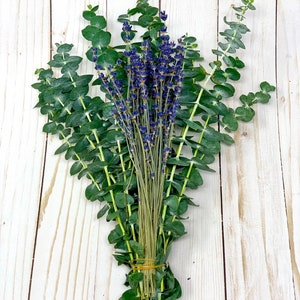Fresh Eucalyptus and Lavender Bundle | Indoor Plantful Wedding Centerpiece | Home Decor Bouquet | Fragrant Eucalyptus | English Lavender