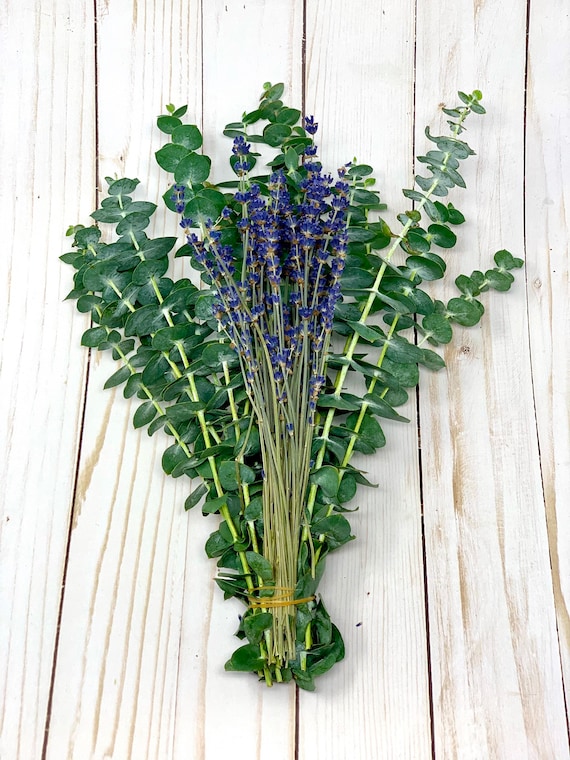 Fresh Eucalyptus Lavender Bundle, Relaxing Home Spa, Bathroom Decor, Scented Plant Arrangement