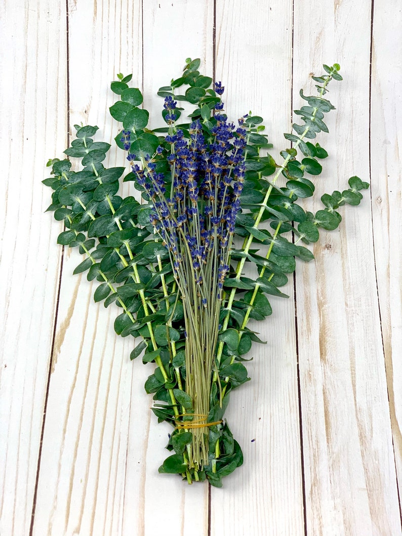 This shows a bundle of eucalyptus with dried lavender stems rubber banded together. The bundle is laying on a wood grain background for photo staging.