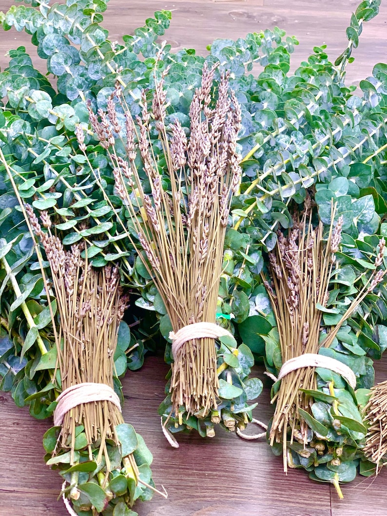 Shower Eucalyptus Lavender Bundle Plants Indoor Plants Etsy