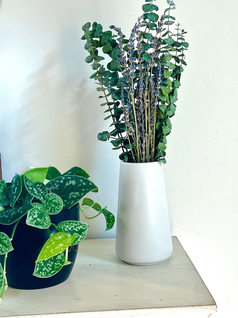 Eucalyptus and Lavender in a white vase on a shelf. Beside it is a house plant in a black vase. The background is a white wall.
