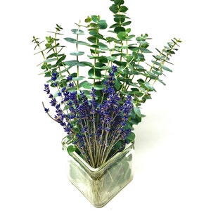 Baby Blue Eucalyptus put into a vase and paired with dried lavender stems. The bundle is vibrant green and purple against a plain white background.
