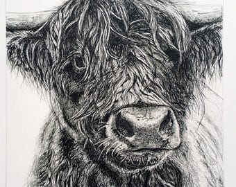Shaggy Cow Wall Art Print | Black and White Ink Illustration | Rustic Farm Animal Décor | Highland Cow Inspired Gift