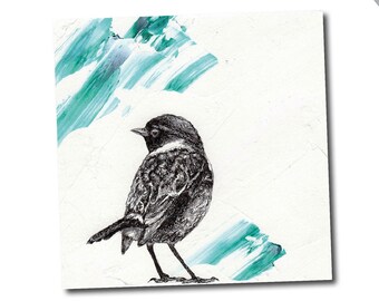 Stonechat bird card - hand drawn illustration for birthdays, thank you, greetings card